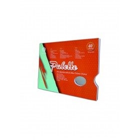Paleta desechable conda