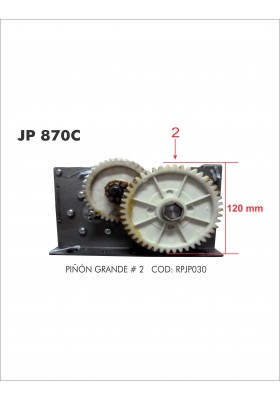 RPJP030  D. PIÑON GRANDE No.2 JP820C