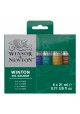 Set oleo winton 21ml  X6