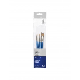JUEGO PINCEL COTMAN DE NYLON X 5 CORTO MIXTO                