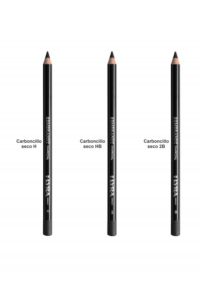Lápiz Lyra Carboncillo Rembrandt charcoal seco  