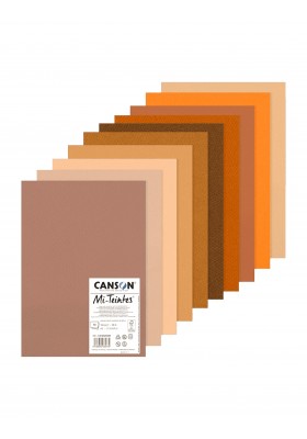 PAQUETE CANSON MI-TEINTES TONO CAFE X10H A3 160G C31032S082 