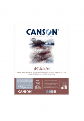 BITACORA CANSON MI-TEINTES 24X32CM 160G 20H GRISE C31032P005
