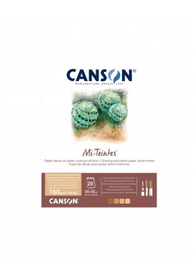 BITACORA CANSON MI-TEINTES 24X32CM 160G 20H MARRON C31032P001