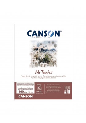 BITACORA CANSON MI-TEINTES 24X32CM 160G 20H BLANC C31027P001